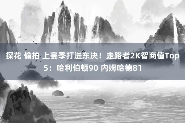 探花 偷拍 上赛季打进东决！走路者2K智商值Top5：哈利伯顿90 内姆哈德81