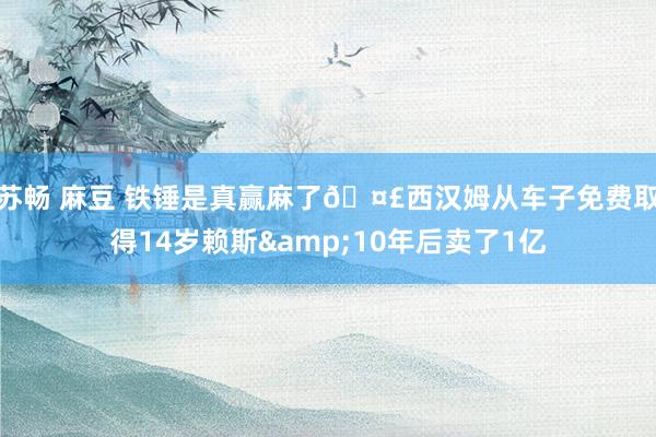 苏畅 麻豆 铁锤是真赢麻了🤣西汉姆从车子免费取得14岁赖斯&10年后卖了1亿