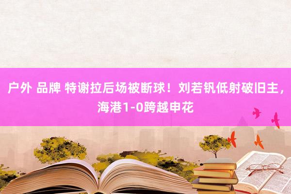 户外 品牌 特谢拉后场被断球！刘若钒低射破旧主，海港1-0跨越申花